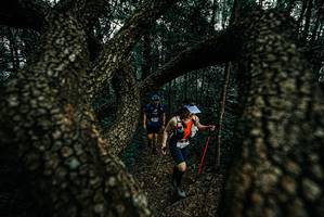 BIB: 
                            <button type="button" onclick="openModal(25691582)" class="btn btn-primary btn-sm float-right btn-popup" data-toggle="modal" data-target=".modal-high-quality">
                        <i class="fas fa-shopping-cart"></i> Add to Cart
                    </button>
                                            <button type="button" onclick="isThisMe(25691582, true)" class="btn btn-success btn-sm float-right btn-popup btn-isme hidden" data-toggle="tooltip" data-placement="bottom" title="นี่คือรูปของคุณใช่ไหม คลิกที่นี่เพื่อเอาเข้าอัลบั้ม">
                        <i class="fas fa-plus"></i> Add to album
                    </button>
                    <button type="button" onclick="isThisMe(25691582, false)" class="btn btn-warning btn-sm float-right btn-popup btn-isnotme hidden">
                        <i class="fas fa-ban"></i> Remove from album
                    </button>